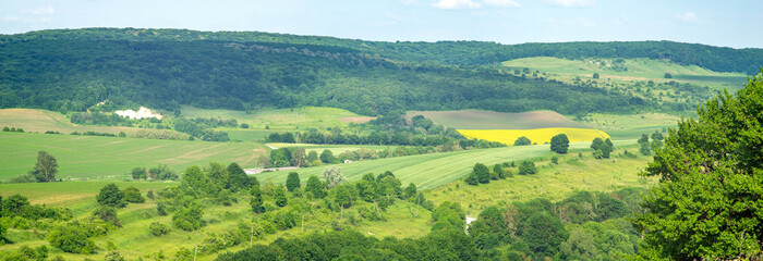 Beautiful summer landscape green sown field on a sunny day in Ukraine