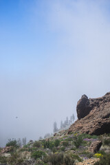 Fototapeta na wymiar Górska droga na Teneryfie we mgle