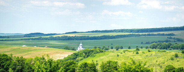 Beautiful summer landscape green sown field on a sunny day in Ukraine