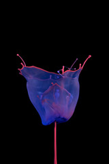 Blue Pink Vessel - Liquid Drop Art