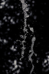Obraz premium Water drops macro on dark background