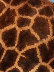 leopard fur texture