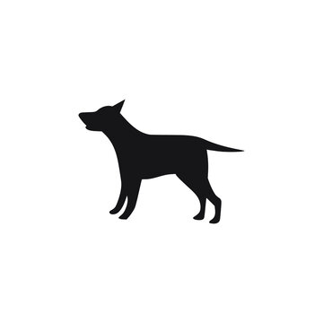 Black and white Dog illustration vector