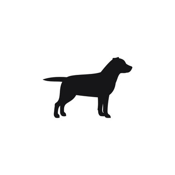 Black and white Dog illustration vector