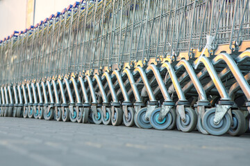 The carts are in a row at the store.