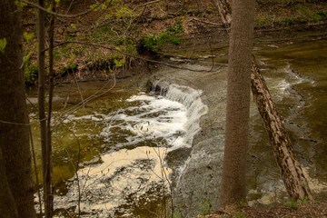 Euclid Creek