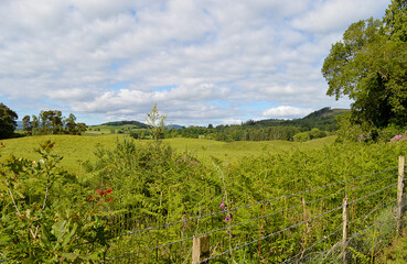 Fototapeta na wymiar Perthshire countryside, near Crieff, Scotland
