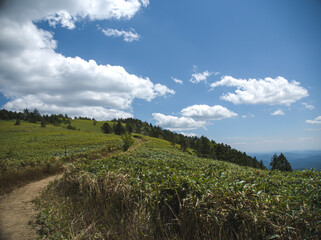 landscape with clouds