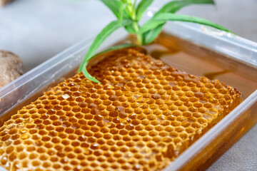 Mixtures of honey, ginger and garlic that are useful in the cold and refreshing for the body