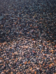 pebbles on the beach