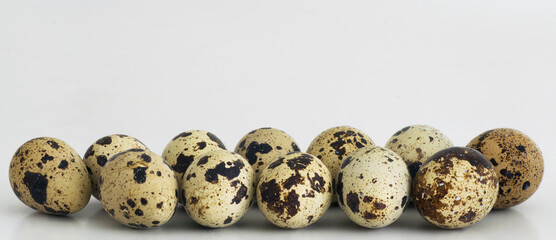 Group of Quail Eggs isolated on white background. Banner