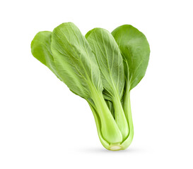 Bok choy vegetable on white