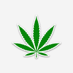 Green Marijuana Weed Leaf  illustration