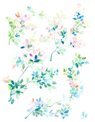 Flowers watercolor illustration.Manual composition.Big Set watercolor elements，Design for textile, wallpapers，Element for design,Greeting card