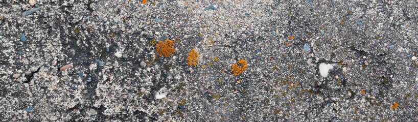 Old concrete surface for backdrop. Yellow and orange lichen. Small gray stones. Panoramic view.