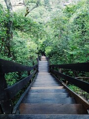 Obraz premium wooden bridge in the forest