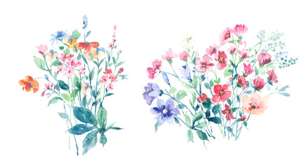 Flowers watercolor illustration.Manual composition.Big Set watercolor elements，Design for textile, wallpapers，Element for design,Greeting card