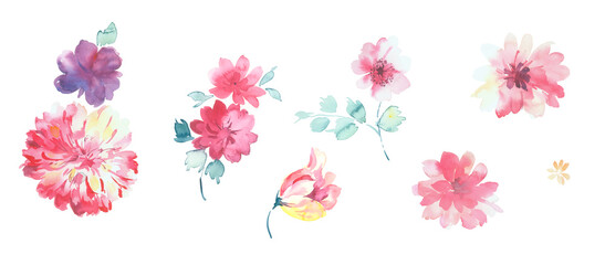 Flowers watercolor illustration.Manual composition.Big Set watercolor elements，Design for textile, wallpapers，Element for design,Greeting card
