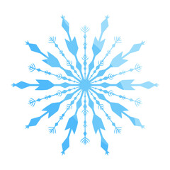 snowflake in winter color illustration