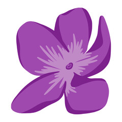 flower petals in summer color illustration