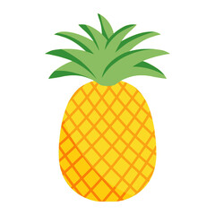 pineapple in summer color illustration