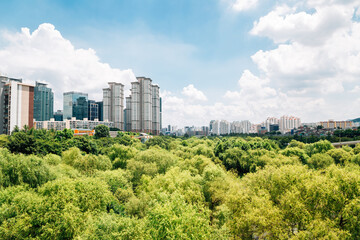 Yeouido Saetgang Eco Park and modern buildings in Seoul, Korea