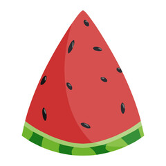 watermelon in summer color illustration