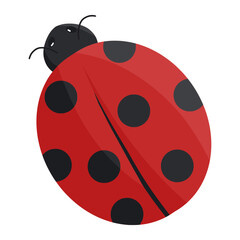 ladybug in spring color illustration