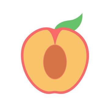peach in half illustration icon vector, fruit illustration
