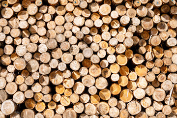 積み重ねられた丸太
