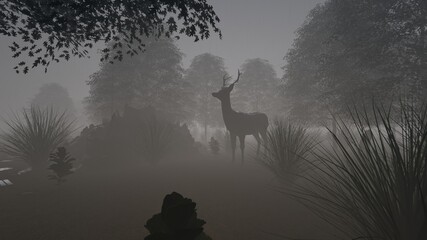 deer at road night
