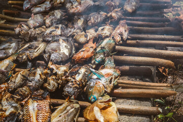 Various sea fish grilled on traditional grill with smoke