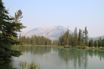 Fototapeta na wymiar July On The Bow, Banff National Park, Alberta