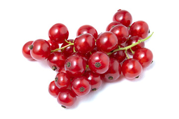 A sprig of red currant, isolated on a white background.Juicy bright and fresh berries.Use for labels of posters and web design.