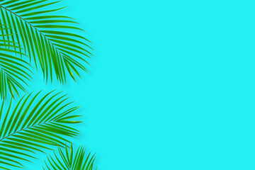 Fototapeta na wymiar top view of tropical palm leaf on blue color background. minimal summer concept. flat lay