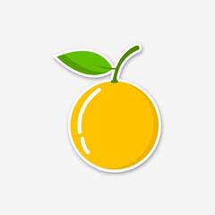 sliced lemon isolated on white background.