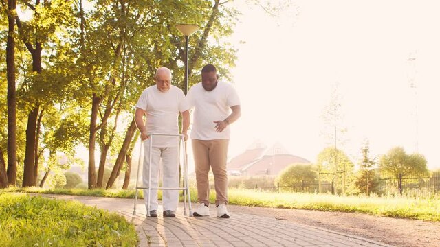 African-American caregiver is teaching disabled old man to walk with walker. Professional nurse and handicapped patient in the park. Assistance, rehabilitation and health care. Golden hour sunset.