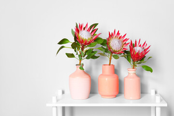 Shelf with protea flowers in vases near light wall