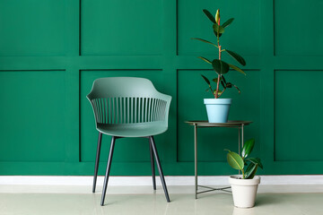 Modern armchair and table with houseplants near color wall