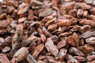 バークチップのアップ