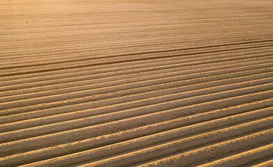 High-quality cultivated soil for planting agricultural crops.