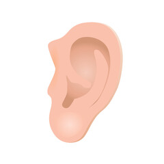human ear vector clipart on white background
