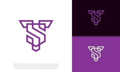 Abstract Initial logo vector. Initials TS. ST logo design. Innovative high tech logo template