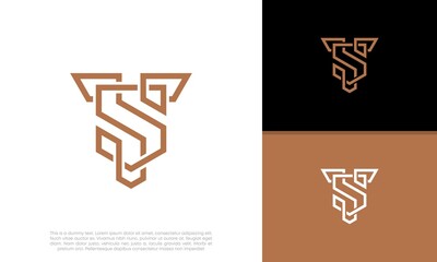 Abstract Initial logo vector. Initials TS. ST logo design. Innovative high tech logo template