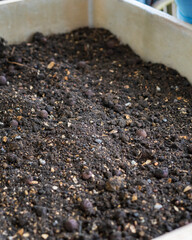 Soil in a wooden planter box.