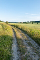 Dirt track through agricultural landscape in sunset