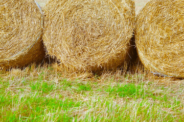 A sheaf of hay in the middle of a summer field in Poland