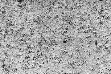 Erosion of the hull of a yacht close-up. Marine microorganisms on the hull of the yacht.