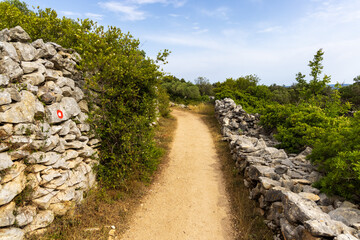 Fototapeta na wymiar Footpath in the rural landscape of the dry walls of Ilovik island, Croata