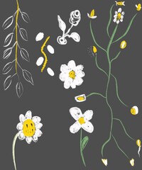 Abstract flower on the back ground , natural with drawing emotional